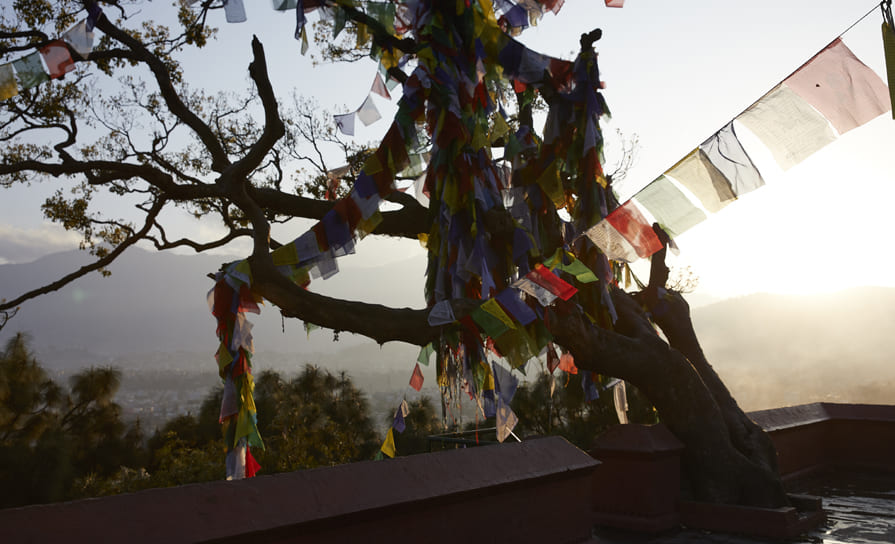 Drapeaux népalais dans des arbres