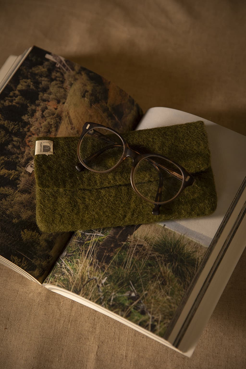 Étui à lunettes vert en laine, le cadeau pratique et pas cher