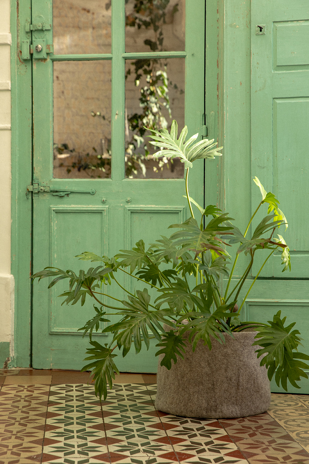 Cache-pot en feutre de laine gris