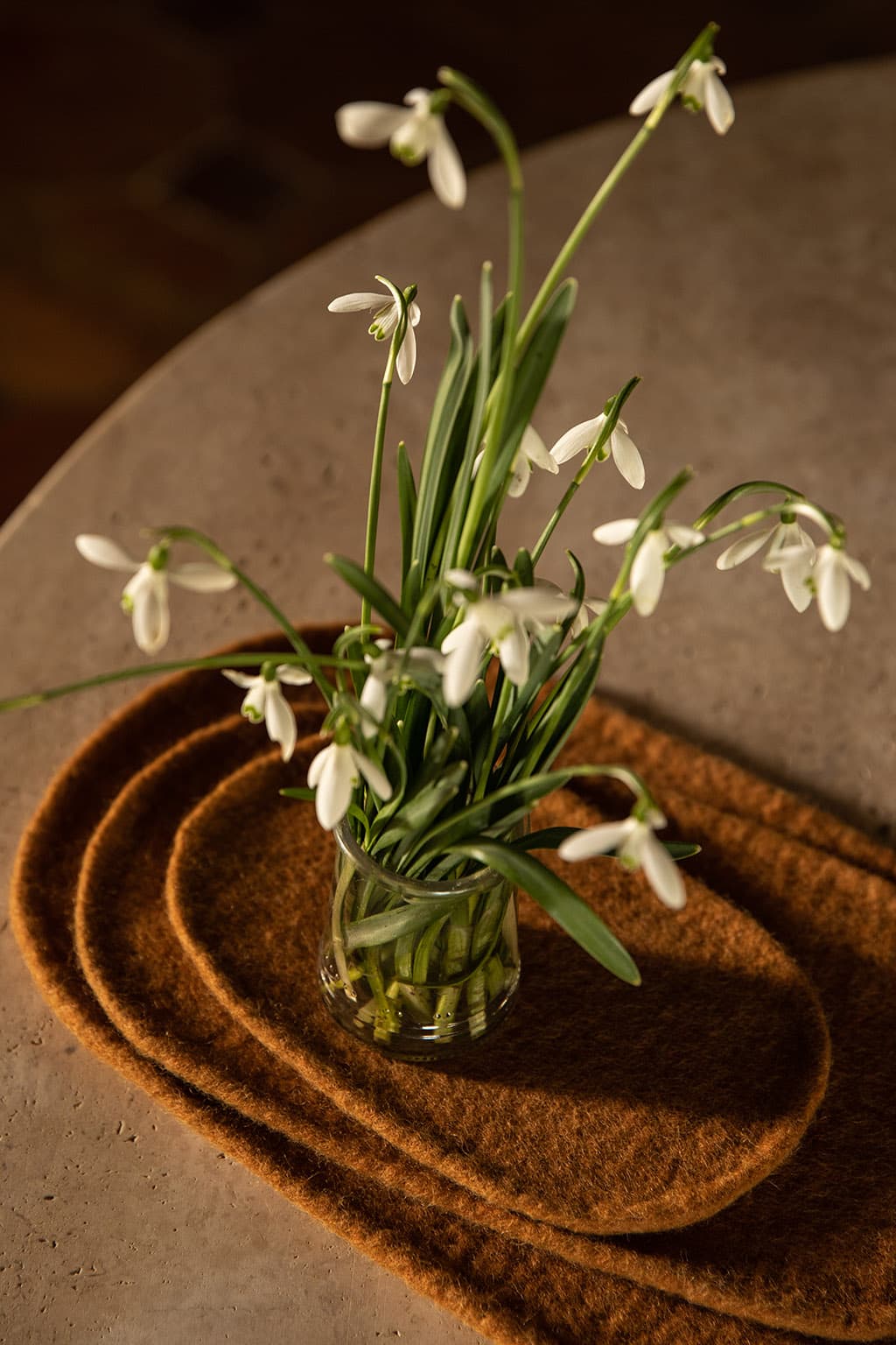 Trio de plateaux décoratifs terracotta en laine feutrée sous un vase