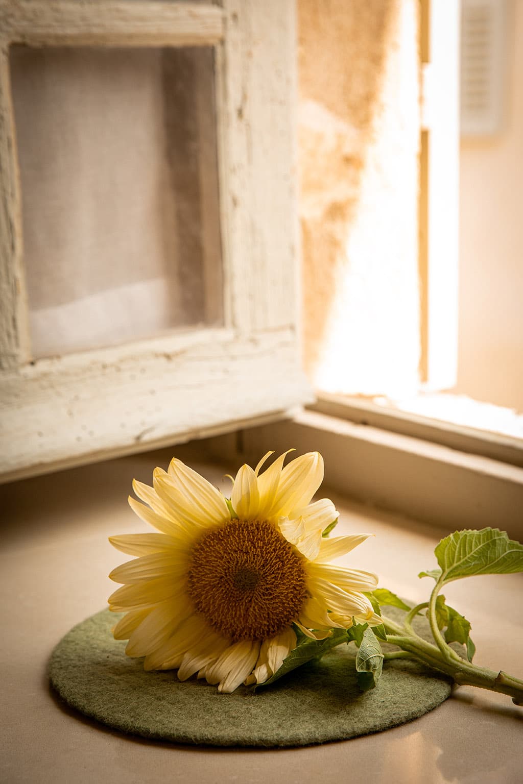 Dessous de plat vert sauge en feutre de laine