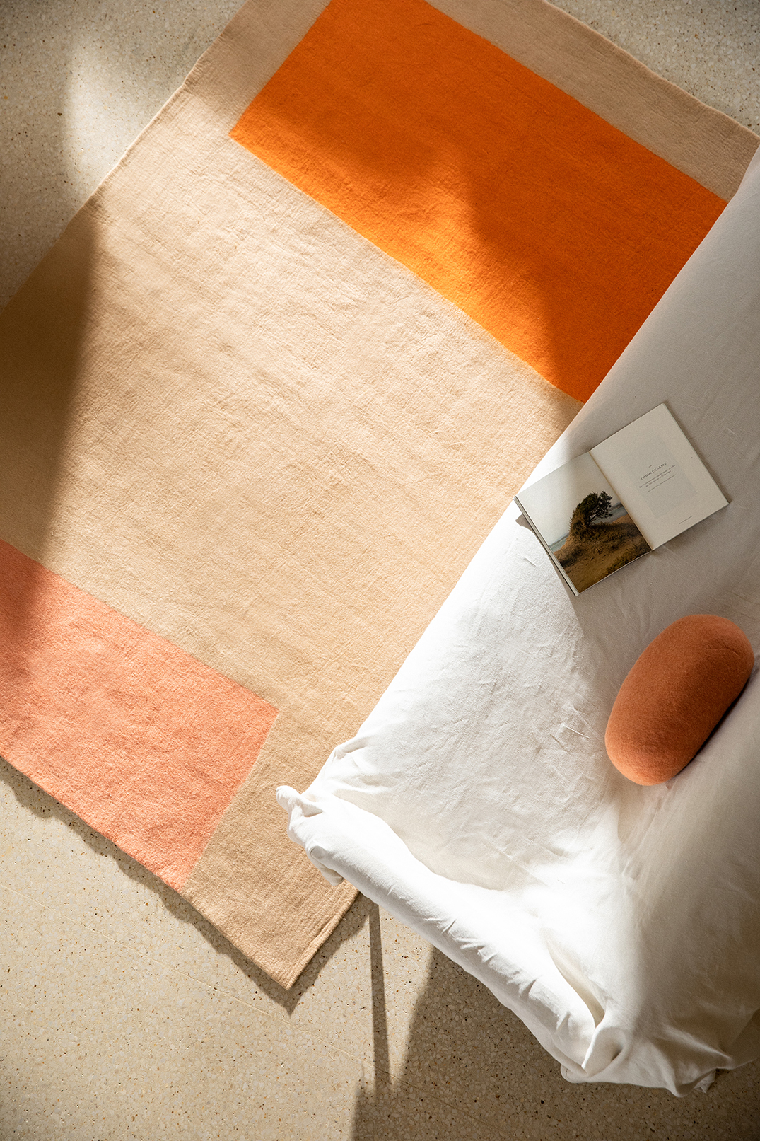 Grand tapis rectangle en laine bouillie pour le salon