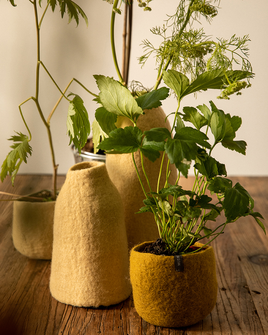 Green wool felt vases for plants and flowers
