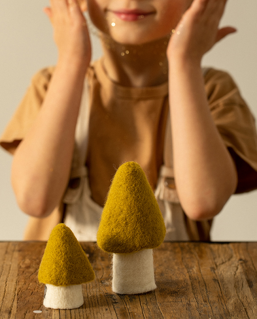 Collection of wool felt objects for children