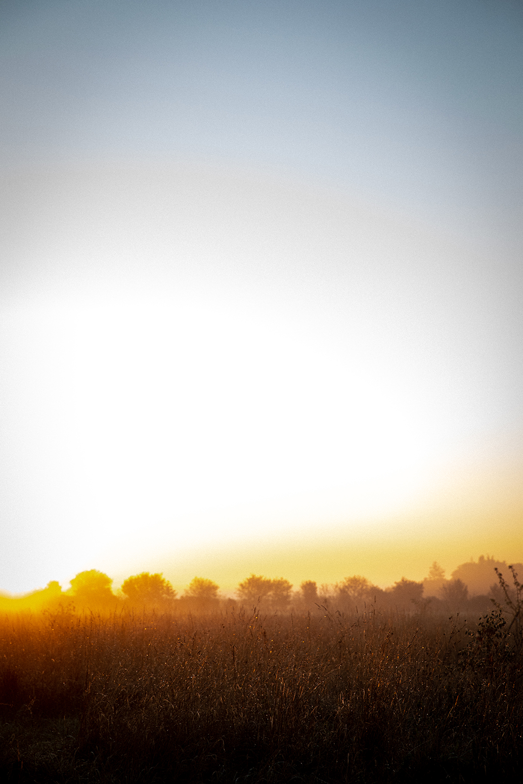 Sunrise in the countryside
