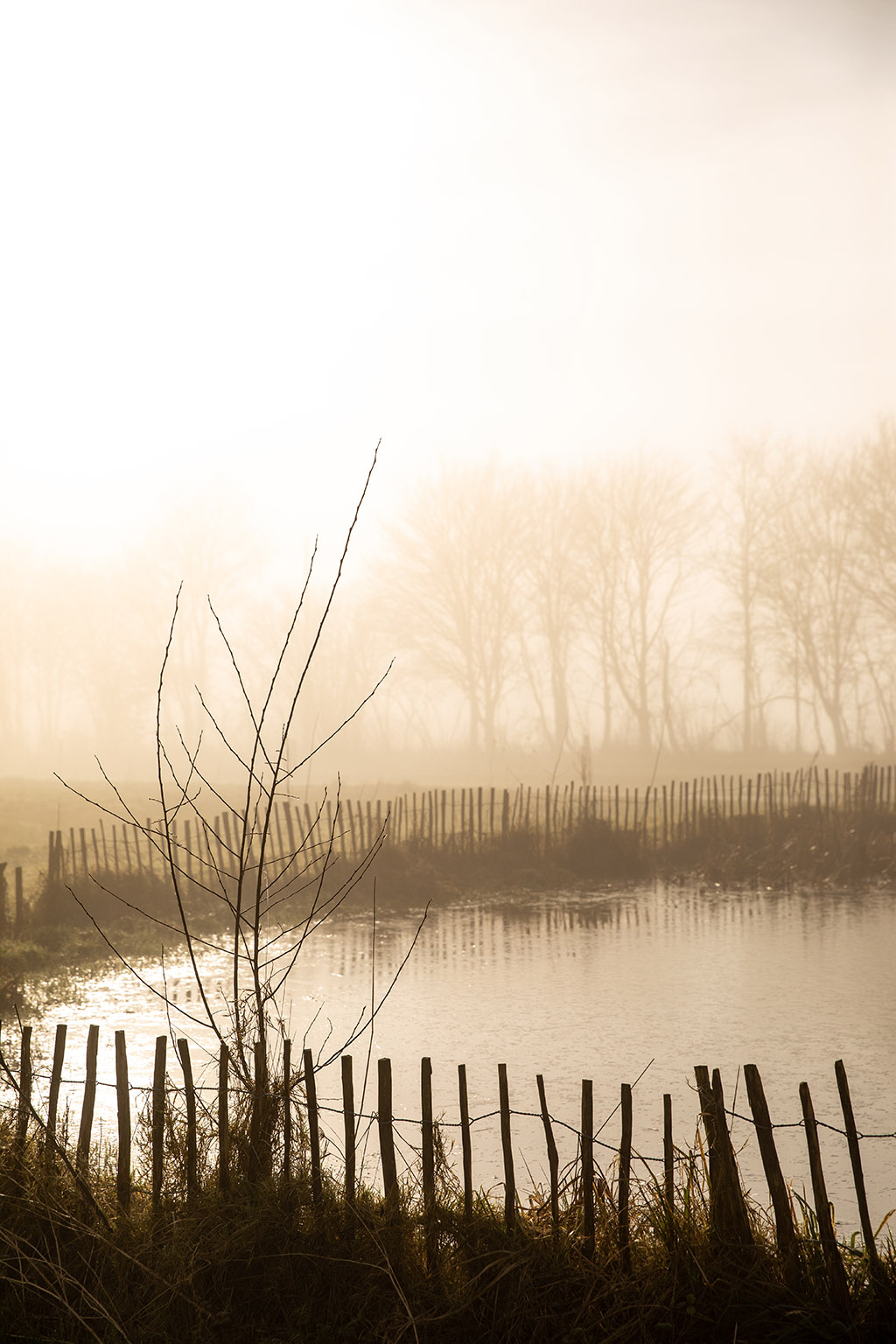 Brume d'un matin d'automne