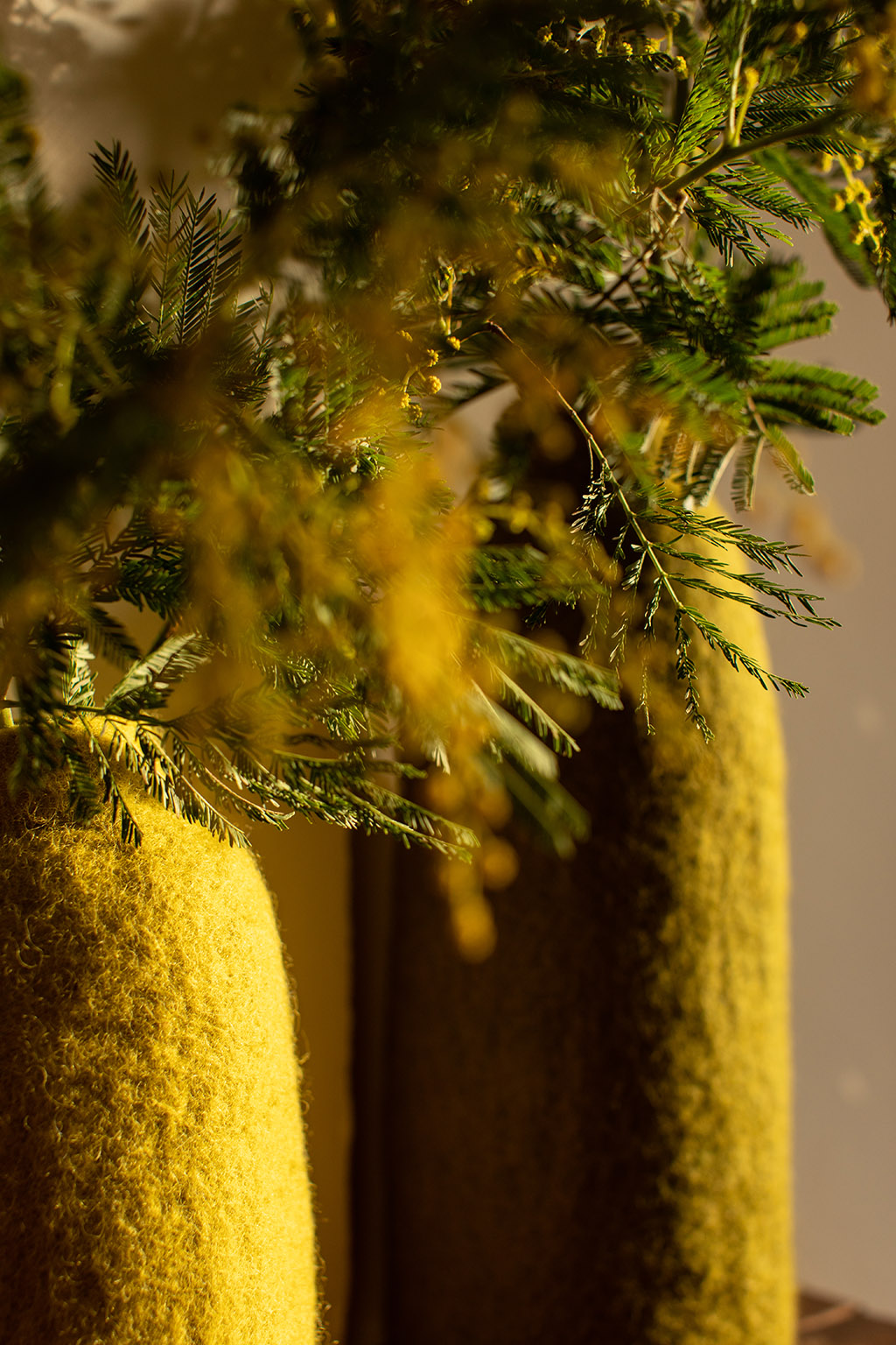 Duo de cache-vases verts en feutre de laine