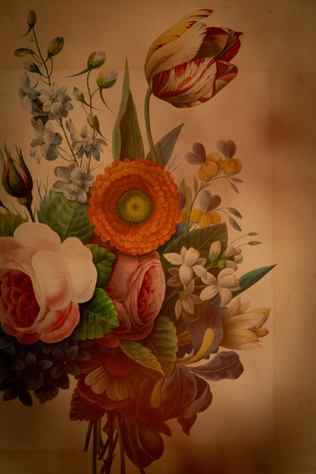 Papier peint fleuri