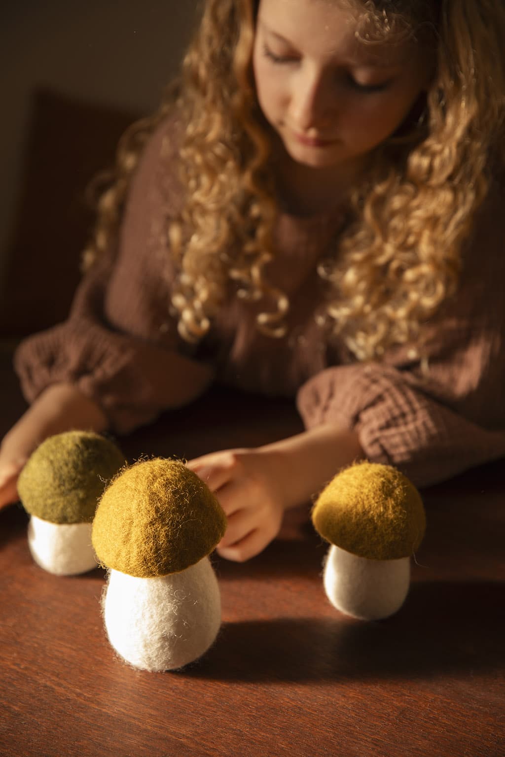 Wollen paddenstoelen voor een landelijke decoratie