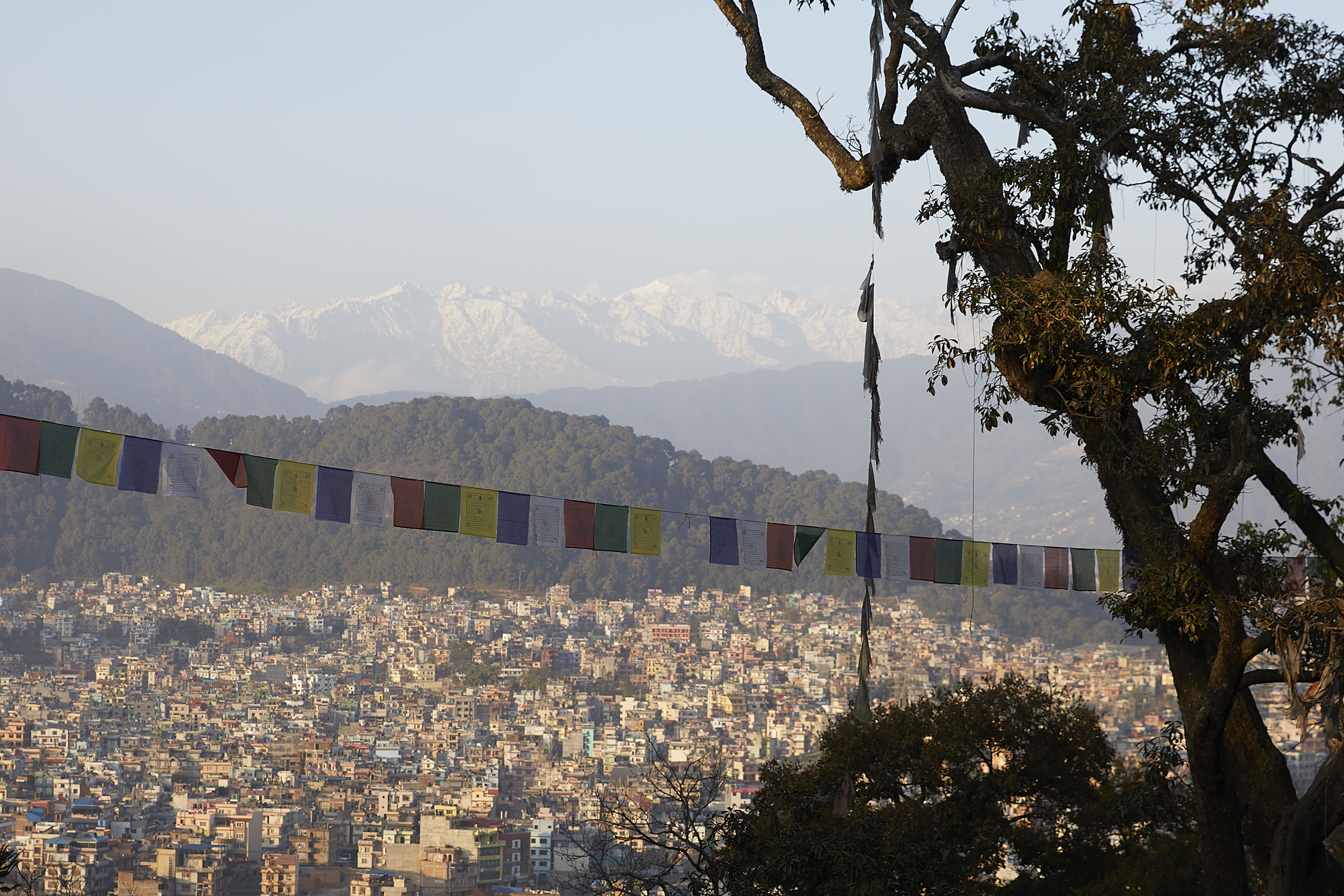 Portrait : Tshering Lama Muskhane