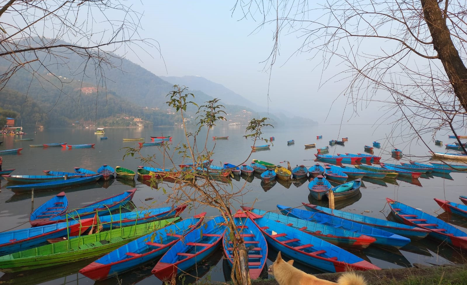 Voyage à Pokhara : Journal de bord  Muskhane