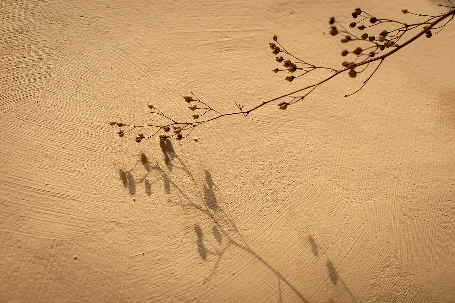 Minimalisme chaleureux MUSKHANE